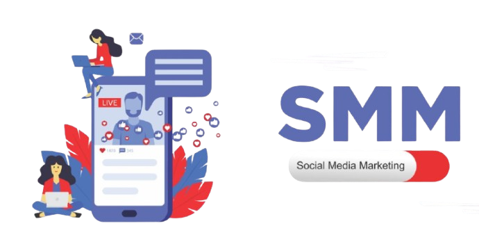 best freelance digital marketing expert in malappuram